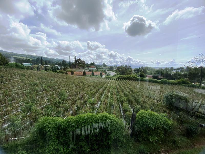 Villa The Star - Image 32