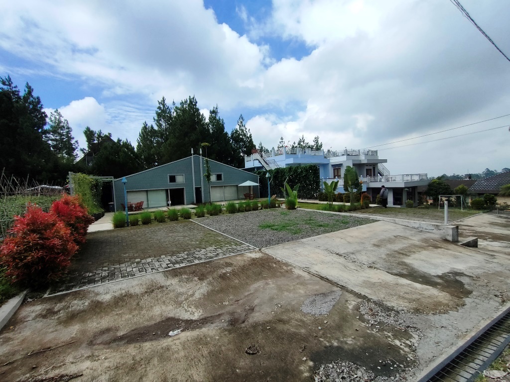 VILLA CANARI - Image 2