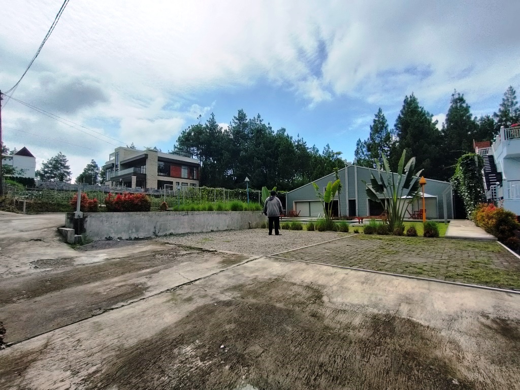 VILLA CANARI - Image 3