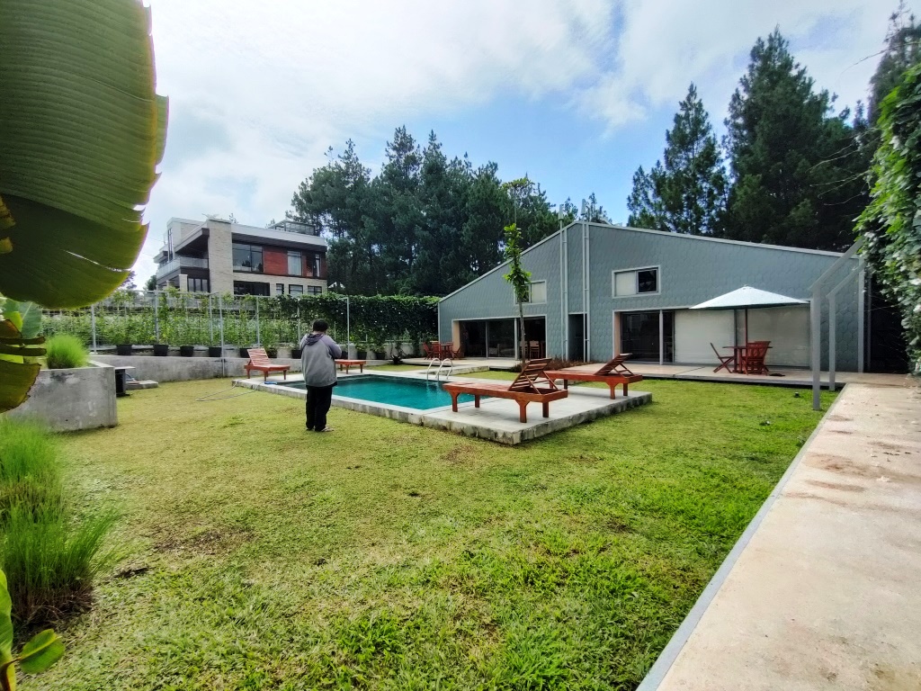 VILLA CANARI - Image 4